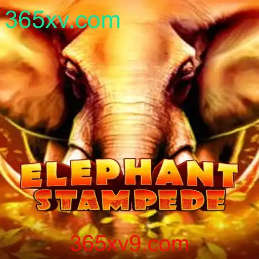 Descubra o Mundo Emocionante de ElephantStampede