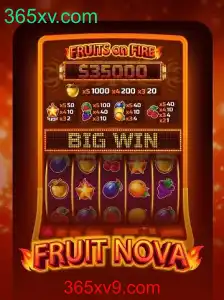 Descubra o Fascinante Mundo de FruitNova